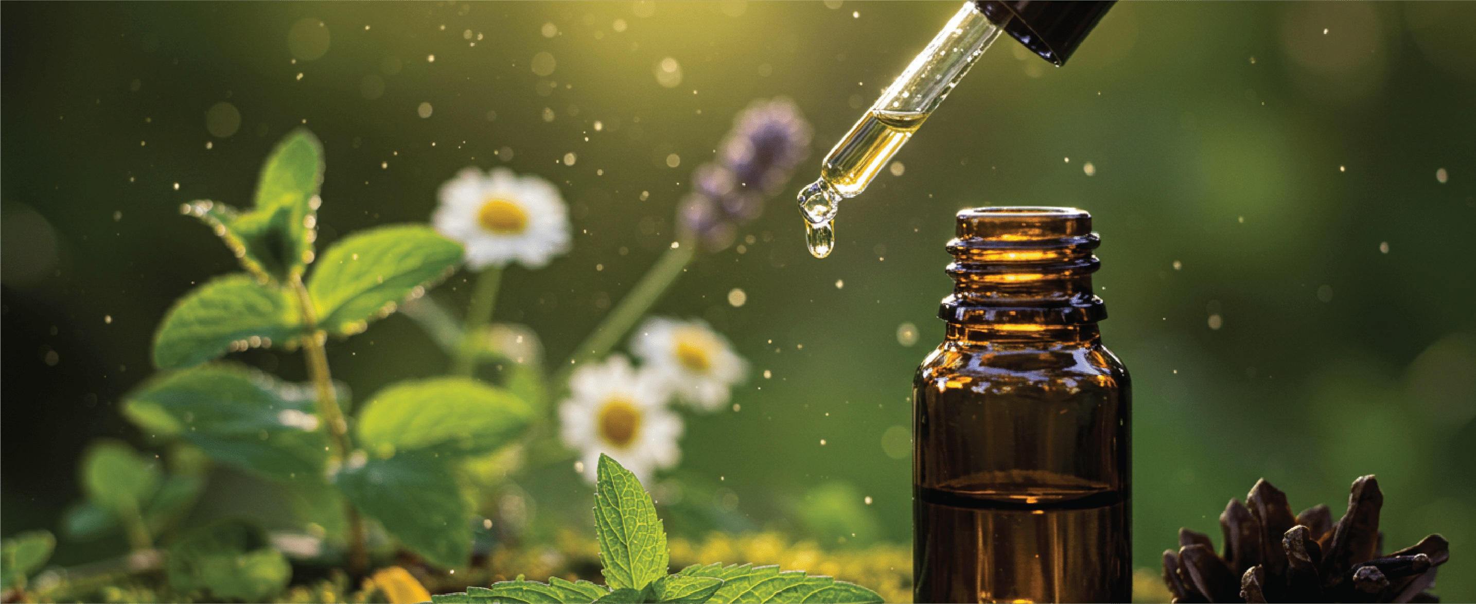 Essential oil dropper dripping into a brown bottle with herbs in the background
